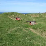 Fuglevaenget *