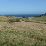 Fuglevaenget *