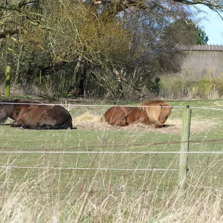 Fuglevaenget Hundested