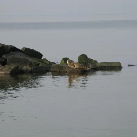 Daire Fuglevaenget *