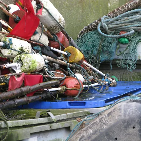 Fuglevaenget Διαμέρισμα *