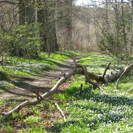 Daire Fuglevaenget Hundested