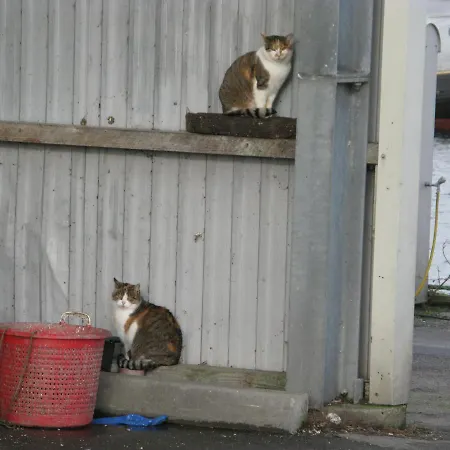 Fuglevaenget * Hundested