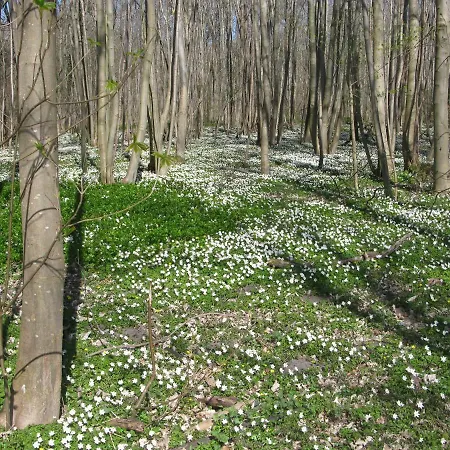 Fuglevaenget * Hundested