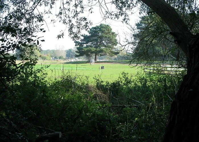 Fuglevaenget הונדסטד