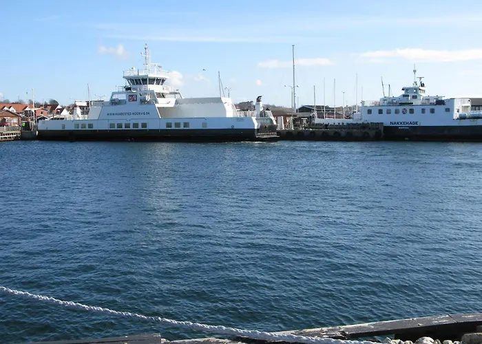 Fuglevaenget דירה *