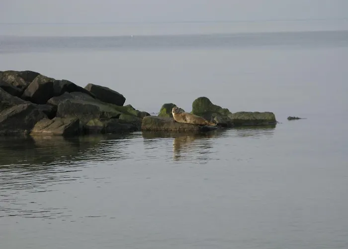 דירה Fuglevaenget *