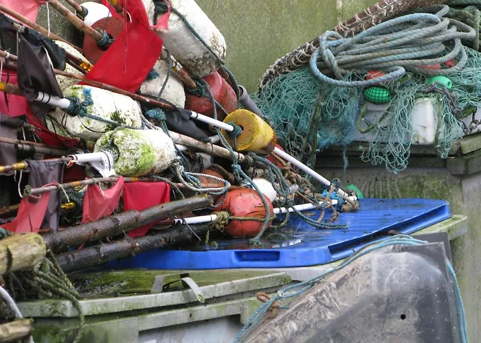 Fuglevaenget דירה *