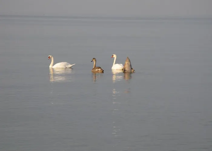 דירה Fuglevaenget הונדסטד