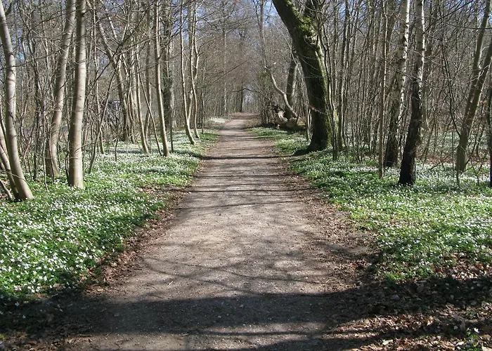 Fuglevaenget דירה הונדסטד