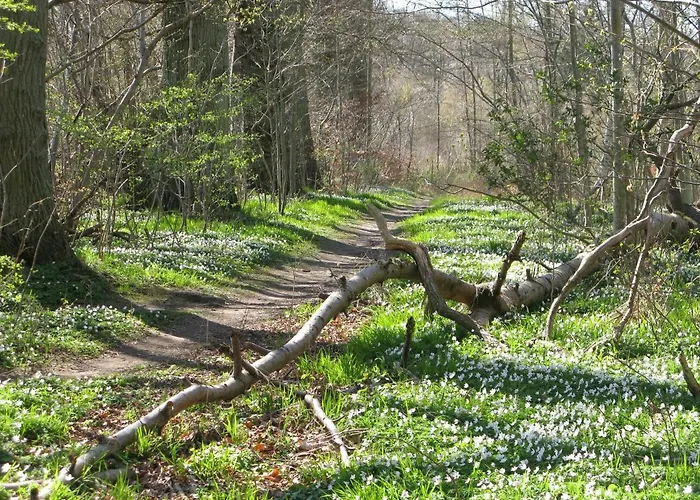 דירה Fuglevaenget הונדסטד