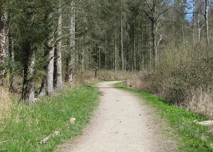 דירה Fuglevaenget הונדסטד