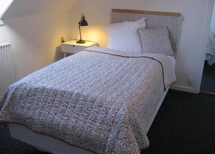 Fuglevaenget דירה *